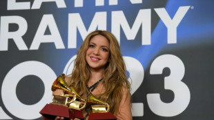 Shakira in the dock in Spanish tax fraud case