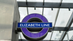 Hôtels, transports: Londres affiche complet pour l'enterrement d'Elizabeth II