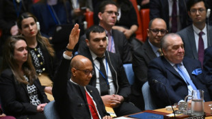 US veto sinks Palestinian UN membership bid in Security Council