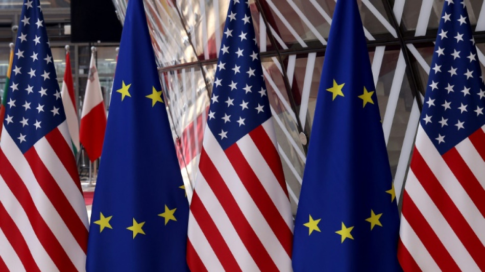 US-EU steel talks in limbo as elections loom