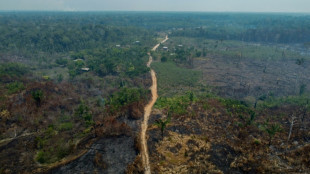 Deforestation in Brazilian Amazon down 22% in a year