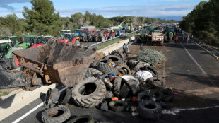 Protesting Spanish farmers block roads near French border