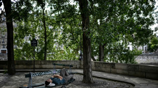 Un "Paris-Jardin" avec ombrières: les recommandations pour adapter la capitale aux canicules