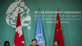 At UN summit, new hope for deal to save nature