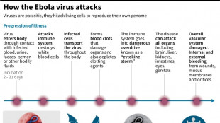 The Ebola virus: profile of a dreaded killer