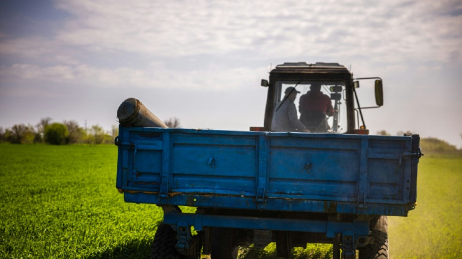 Sembrar los campos, un riesgo mortal para los agricultores ucranianos