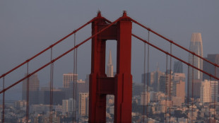 Pro-Palestinian protest blocks San Francisco's Golden Gate bridge