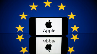 EU hails 'change' as Apple opens App Store to competition