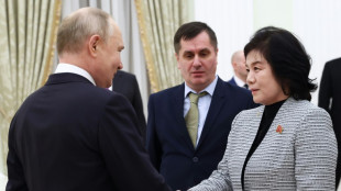 Putin hosts North Korean FM in Kremlin visit