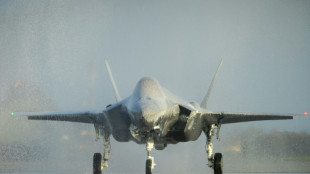 Dutch court to rule on export of F-35 parts to Israel