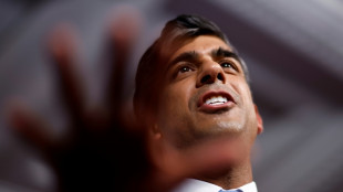 UK PM Sunak slams racist slur by Farage party campaigner