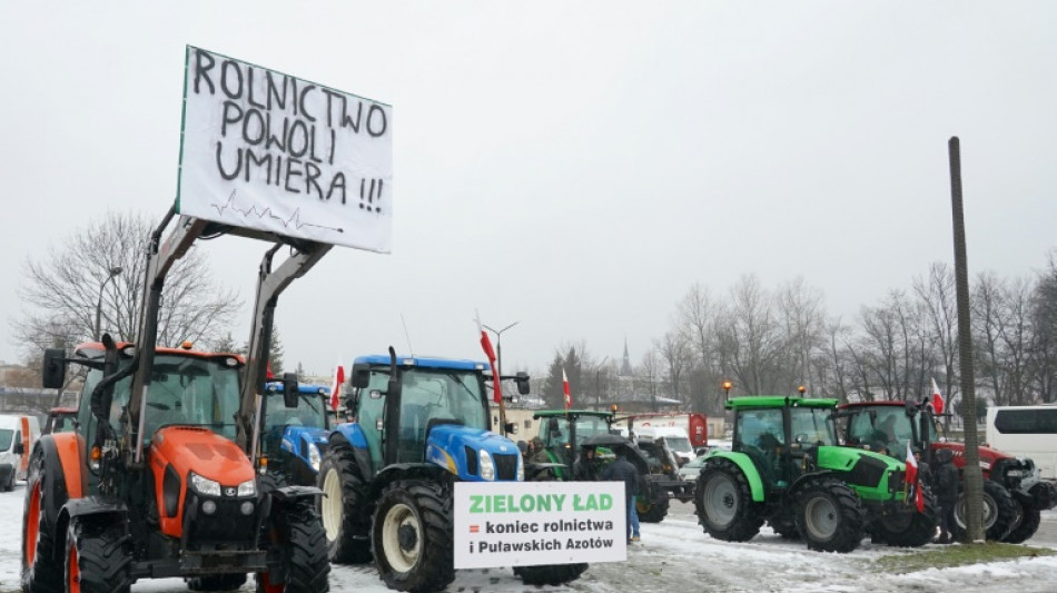 Polish farmers protest against 'uncontrolled' Ukraine imports