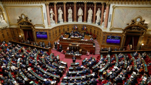 French Senate to weigh compensation for victims of anti-gay laws