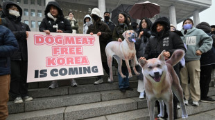 El Parlamento de Corea del Sur prohíbe el comercio de la carne de perro