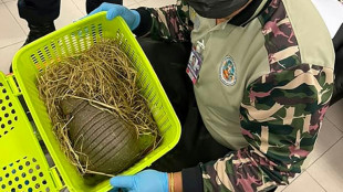 Bangkok: elles tentent d'embarquer avec des animaux sauvages plein leurs bagages