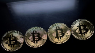 German stocks, bitcoin hit record highs