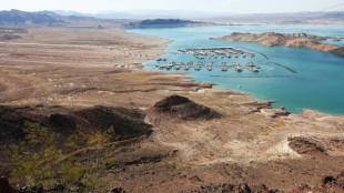 Hallan un arma cerca de un cadáver aparecido en el lago evaporado de Las Vegas