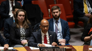 US vetoes Security Council resolution calling for Gaza ceasefire