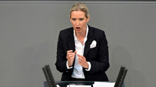 Weidel wirft Ampel-Regierung "Realitätsverweigerung" vor