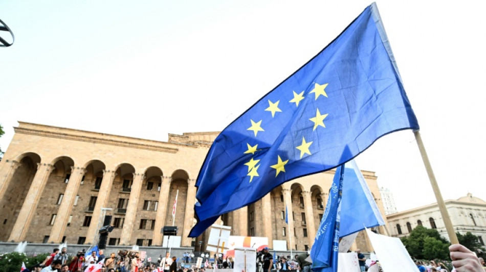 Georgians rally en mass for EU, urge government to quit