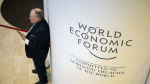 Elite Davos forum 'sitting target' of conspiracy theorists