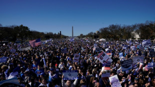 Tens of thousands rally for Israel in Washington