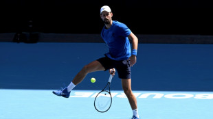 Open d'Australie: dans son fief de Melbourne, "Djoko" repart à la chasse de Sinner et des Majeurs