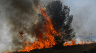 Canicule et incendies: le Sud de la France à rude épreuve avant un week-end à haut risque