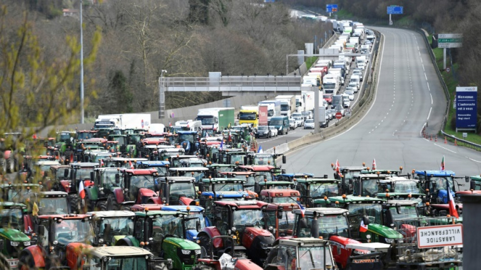 Agricultores franceses y españoles bloquean la frontera para "tener peso" en elecciones europeas