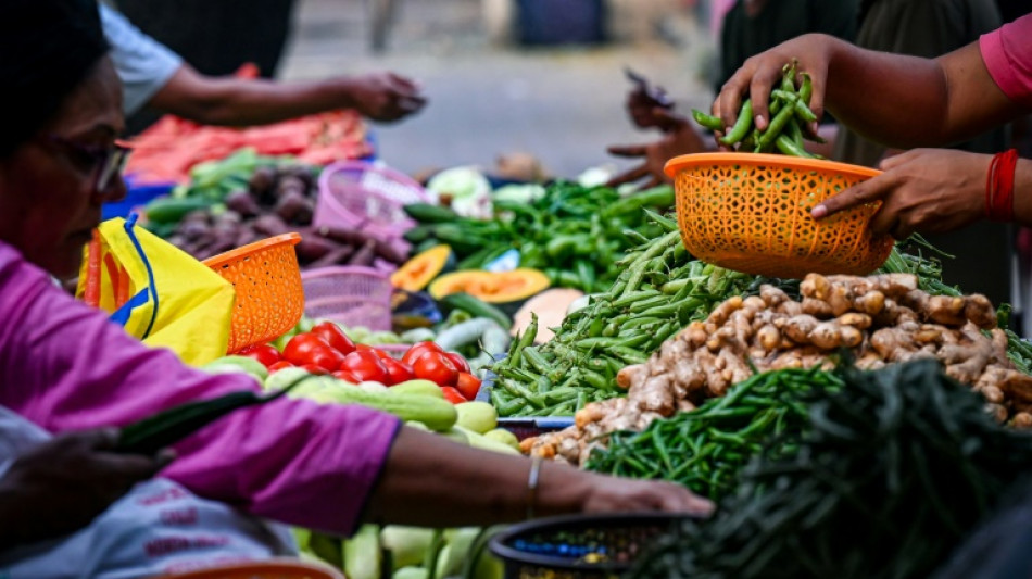 Los precios mundiales de los alimentos se mantienen estables en noviembre, según la FAO