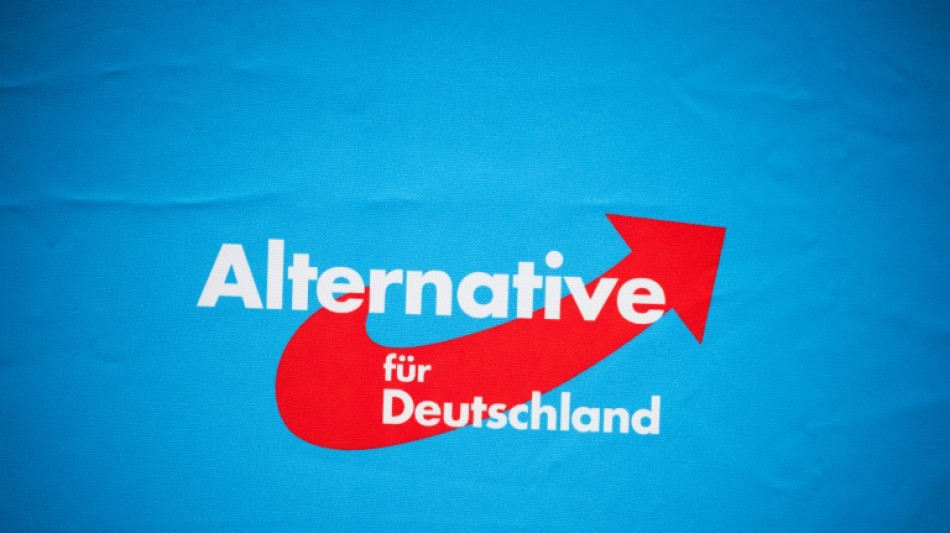 AfD-Parteitag startet mit Kritik an Dauerstreit und Aufruf zur Disziplin