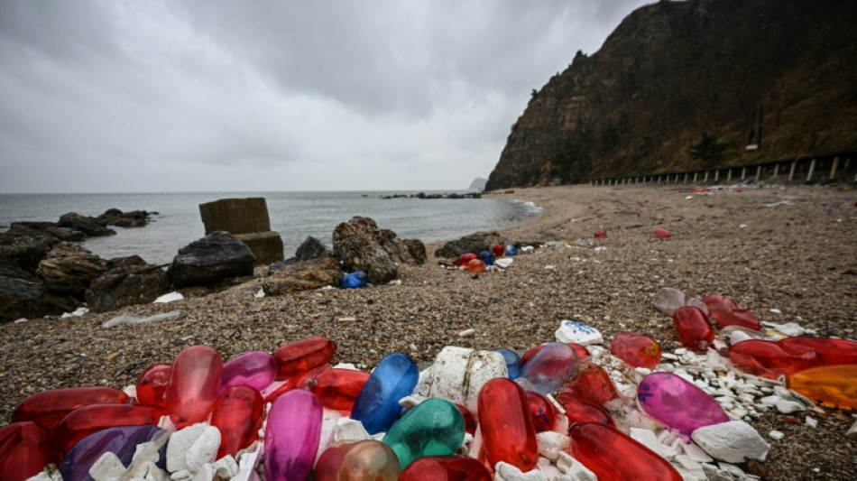 Chinese island plastic pollution turned into artistic omens