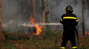 New areas under threat as Chile fires rage and mercury rises