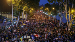 Thousands rally in Tbilisi against 'foreign influence' bill