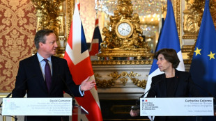 France, UK to support Ukraine 'for as long as it takes': Cameron