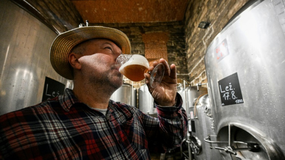 Rise from rubble: Czech brewery wins EU heritage prize