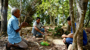 'Doom for forests': fears over new Cambodia land grants