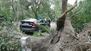 La Corse se réveille après une nuit plus calme que prévu