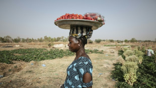 El cambio climático de origen "humano", causante de la ola de calor letal en el Sahel