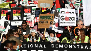 Hundreds of thousands stage Armistice Day pro-Palestinian rally in London