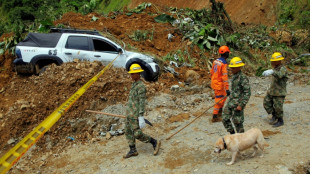 Colombia landslide toll at 33 as rescuers work against clock