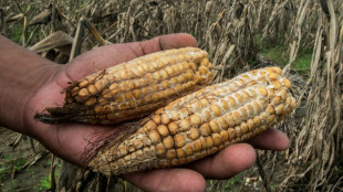 Nutrición en México y Centroamérica, en riesgo por la crisis climática, dice FAO