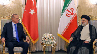 Iran's Raisi expected in Turkey for delayed Gaza talks