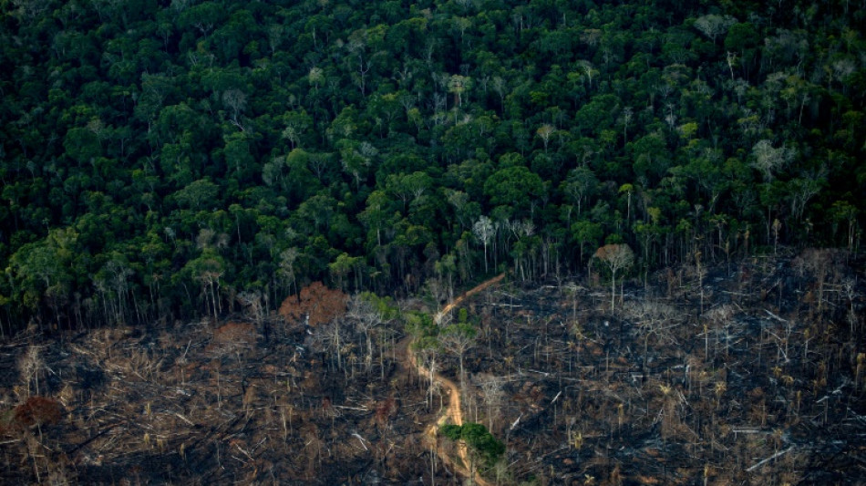 Bericht: Bergbau-Giganten wollen in Ureinwohner-Gebiete im Amazonas vordringen