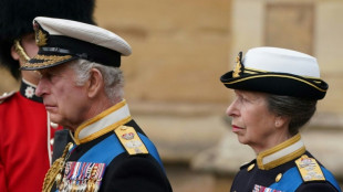 Princess Anne rejects 'slimmed down' monarchy