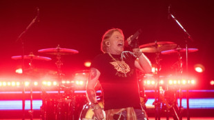 Guns N' Roses sues online gun shop for appropriating name