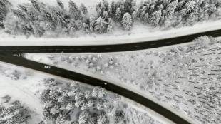 Neige et verglas ralentissent les transports dans le nord de l'Europe