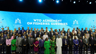 WTO talks end with no major win, throwing trade body into 'crisis'