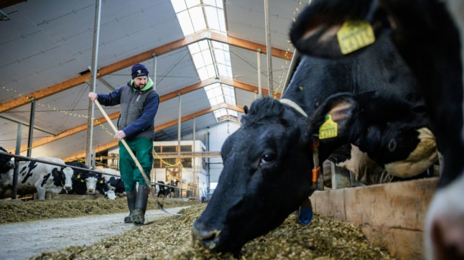 Struggles of family farms fuel German discontent