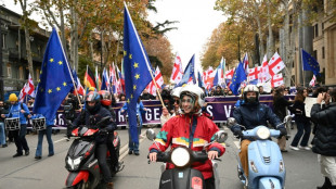 Georgians march for EU ahead of candidacy decision